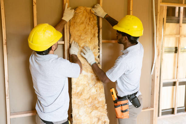 Best Wall Insulation Installation  in Cloverport, KY